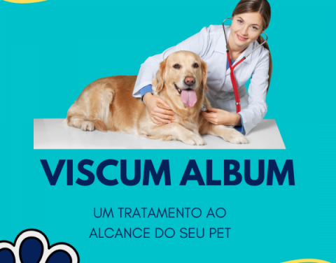 VISCUM ALBUM no tratamento integrativo dentro da Medicina Veterinária