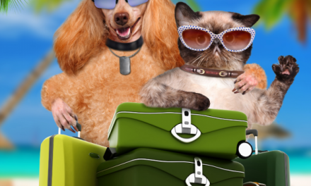 Vai viajar com seu Pet?