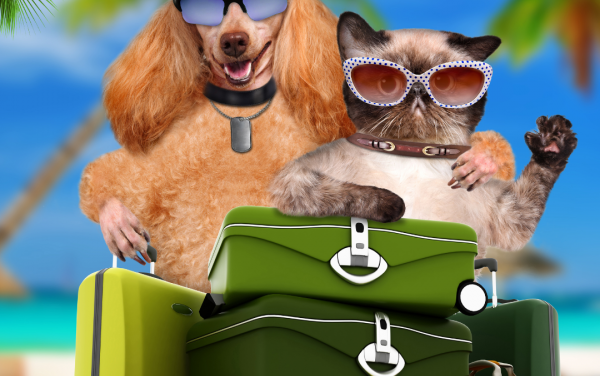 Vai viajar com seu Pet?