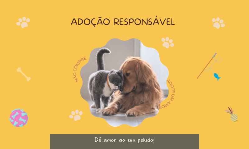 O que saber antes de adotar um bichinho?