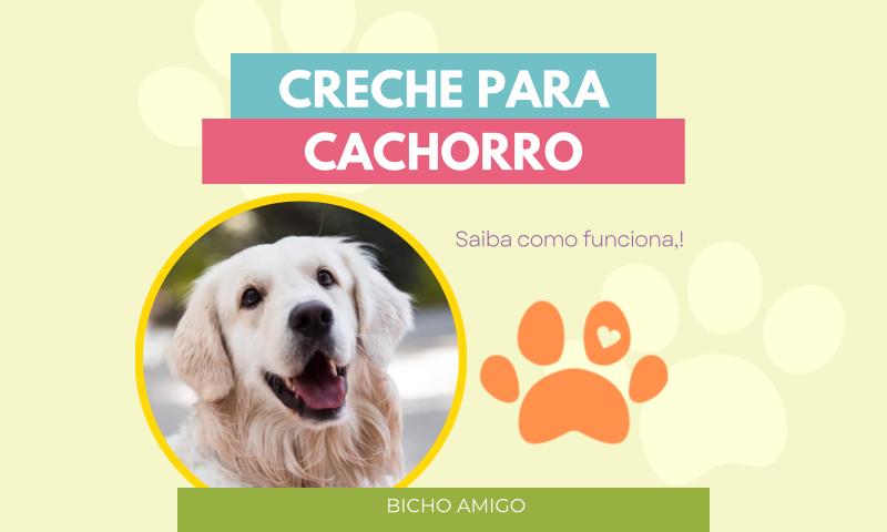 Creche para cachorro, como funciona?