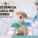 Insuficiência Cardíaca em cães, o que é?