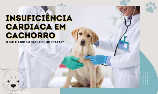 Insuficiência Cardíaca em cães, o que é?