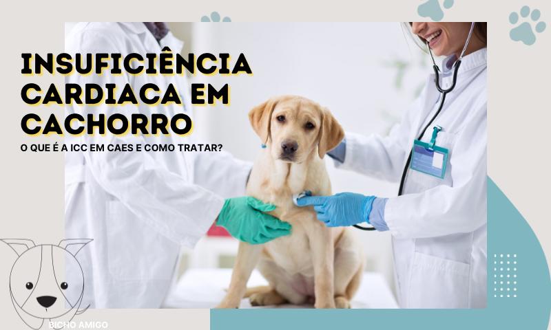 Insuficiência Cardíaca em cães, o que é?