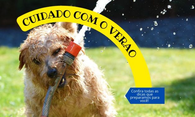 Como cuidar do meu Pet, em dias quentes?