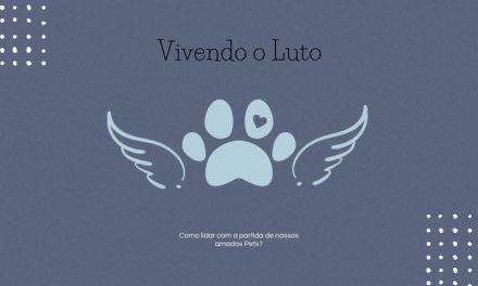 Luto Pelo Meu Cachorro – Como Lidar com a Partida de Nossos Amados Pets?