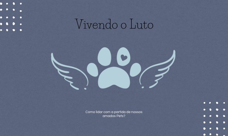 Vivendo o luto. Como lidar com a partida de nossos amados pets?
