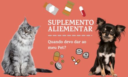 Suplemento alimentar, quando devo dar ao meu Pet?
