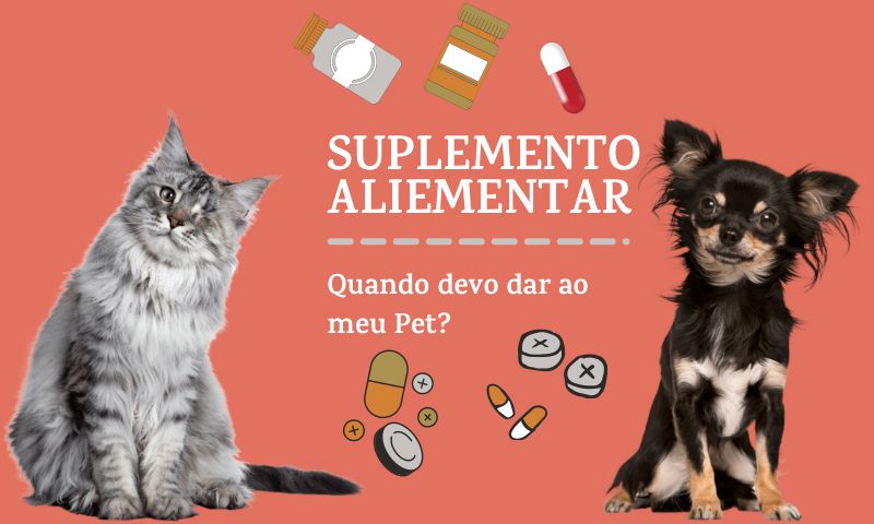 Suplemento alimentar, quando devo dar ao meu Pet?