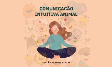 Comunicação Intuitiva Animal, você conhece essa prática?