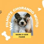 Meu filhote só chora, o que fazer?