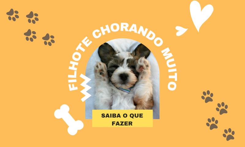 Meu filhote só chora, o que fazer?
