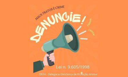 Cresce o número de denúncias por maus tratos em animais
