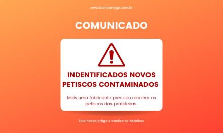 Petiscos contaminados, cuidado!