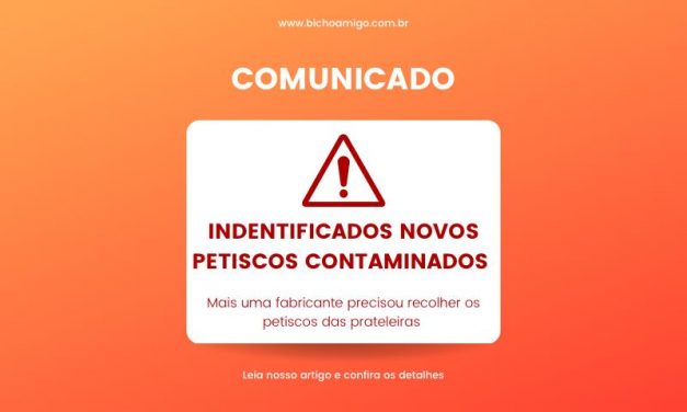 Petiscos contaminados, cuidado!