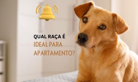 Qual raça é ideal para apartamento?