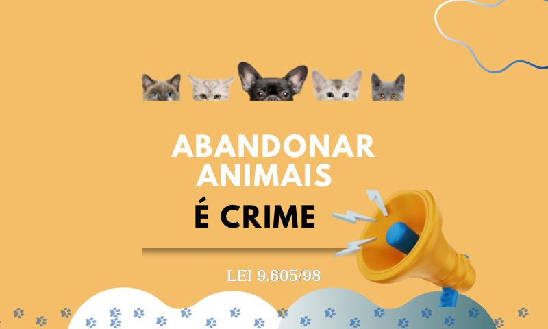 Abandono de animais, é crime!