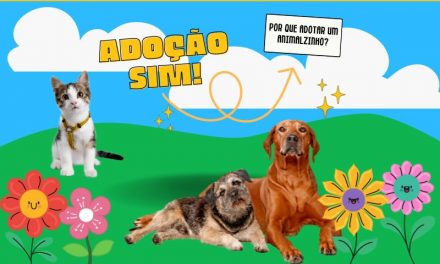 Por que adotar um cachorro ou gato?