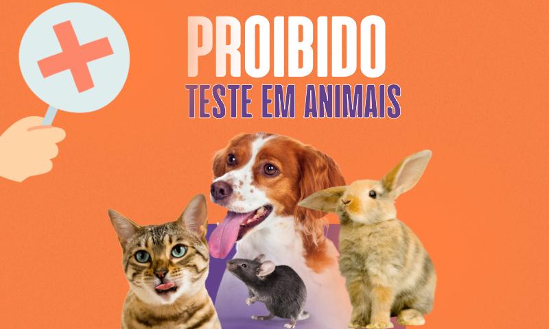 Agora é proibido usar animais em testes de cosméticos e perfumes!