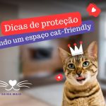 Como criar um espaço cat-friendly