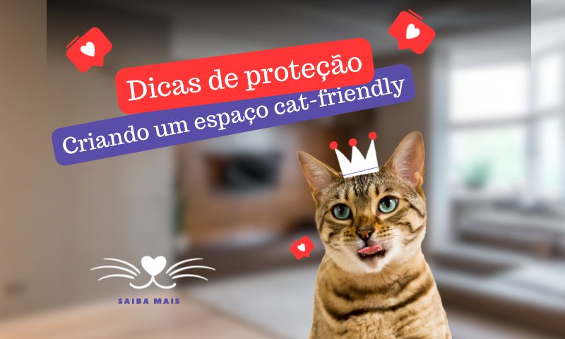 Como criar um espaço cat-friendly