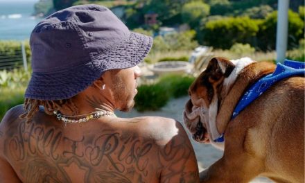 Roscoe Hamilton – O Cachorro de Lewis Hamilton